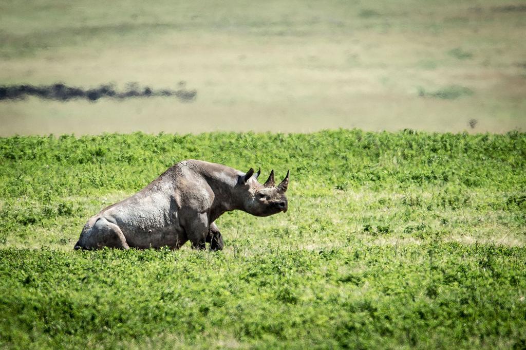 Готель Gibb'S Farm Карату Екстер'єр фото