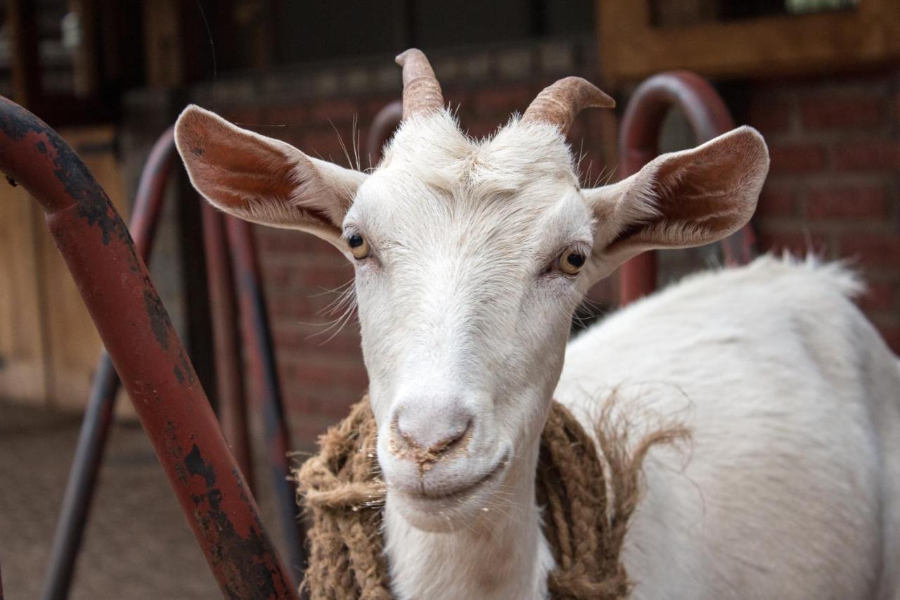 Готель Gibb'S Farm Карату Екстер'єр фото